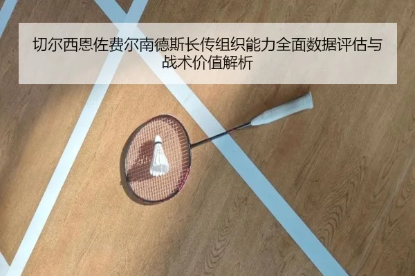 切尔西恩佐费尔南德斯长传组织能力全面数据评估与战术价值解析